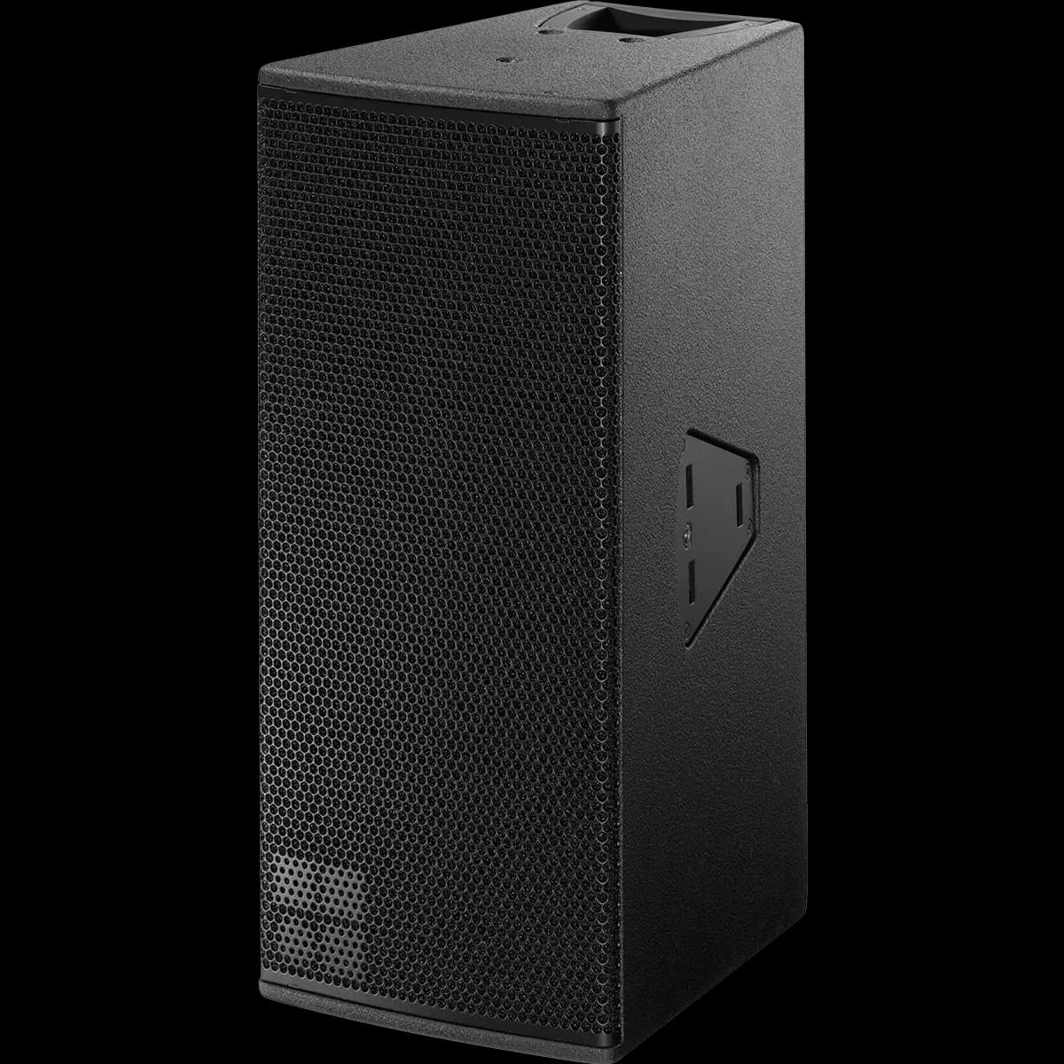 Enceinte passive 2 voies point source hautes performances 110° x 40°