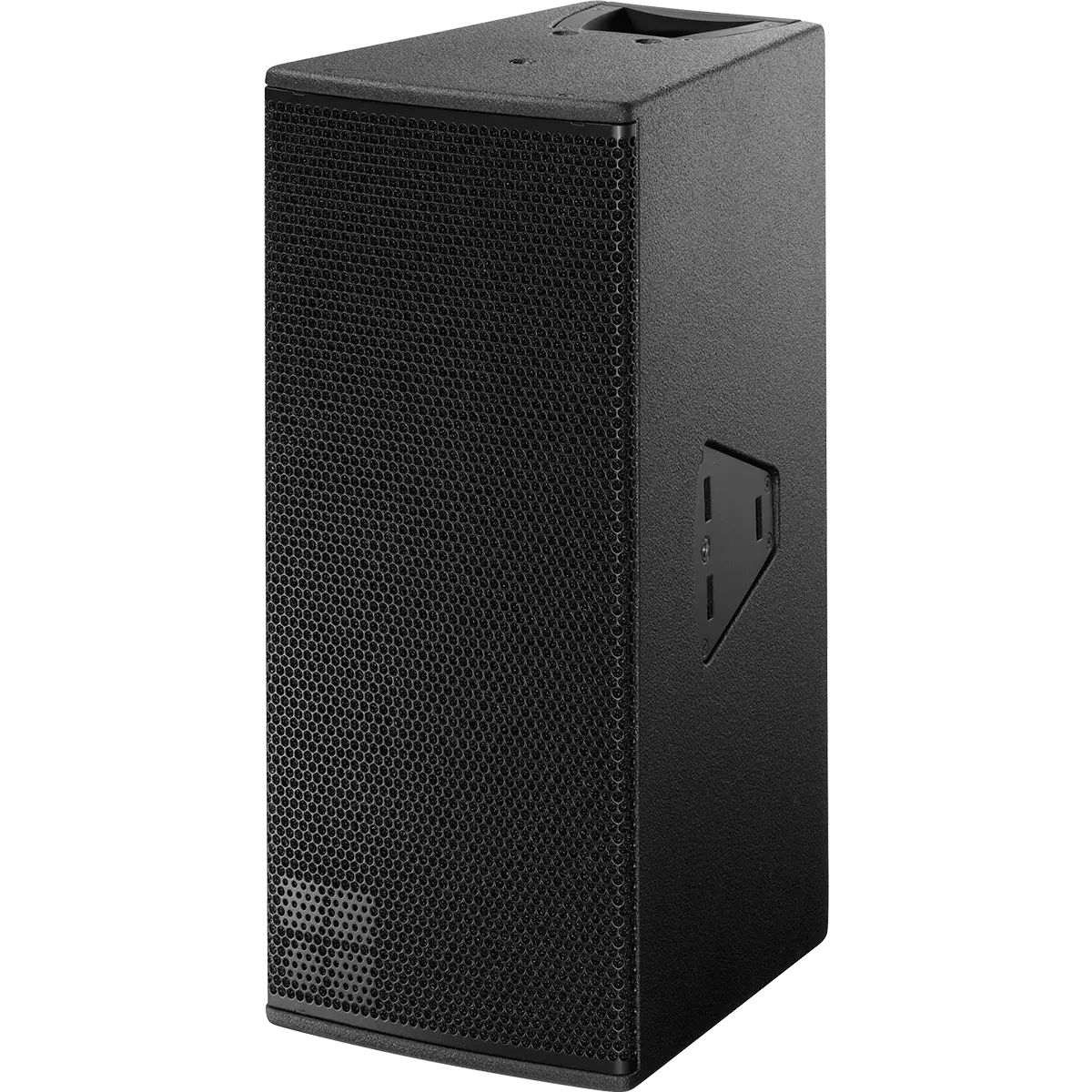 Enceinte passive 2 voies point source hautes performances 110° x 40°